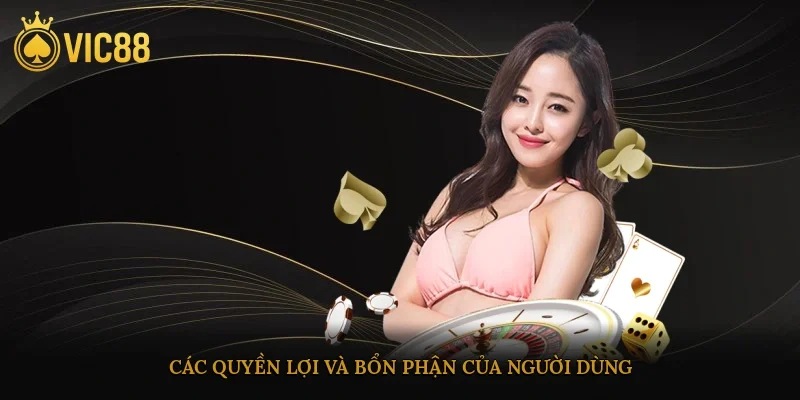 Các quyền lợi và bổn phận của người dùng