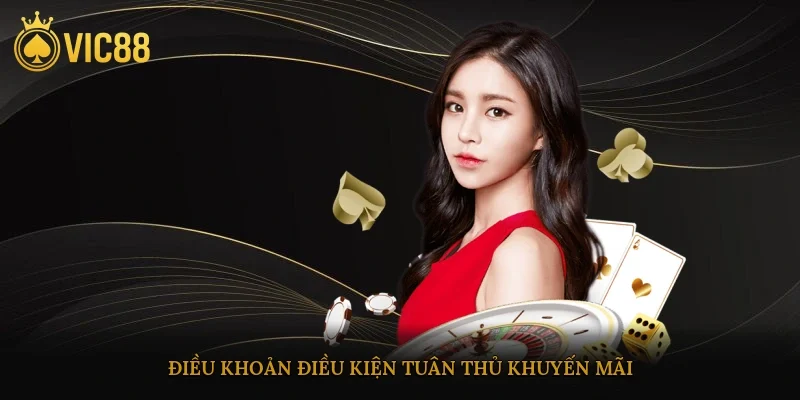 Điều khoản điều kiện tuân thủ khuyến mãi