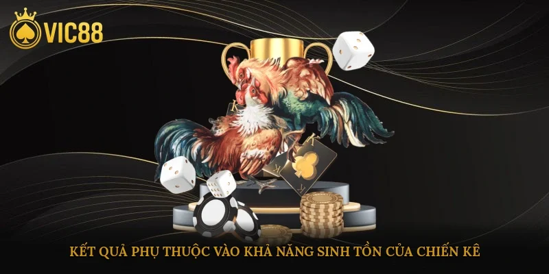 Kết quả phụ thuộc vào khả năng sinh tồn của chiến kê