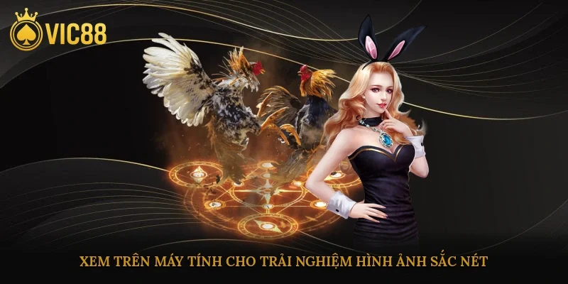 Xem trên máy tính cho trải nghiệm hình ảnh sắc nét